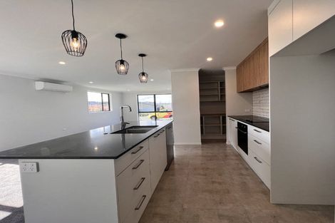 Photo of property in 16 Te Rata Boulevard, Karaka, 2124