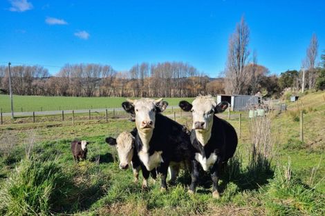 Photo of property in 1053b Lavenham Road, Waipaoa, Gisborne, 4071
