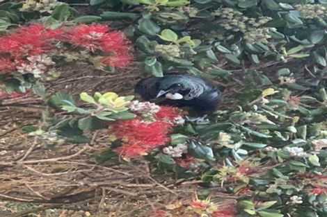 Photo of property in 53 Tasman Road, Otaki Beach, Otaki, 5512