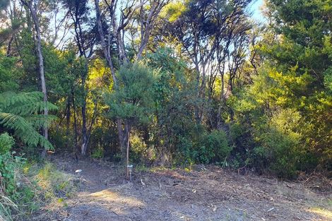 Photo of property in 457 Tuateawa Road, Tuateawa, Coromandel, 3583