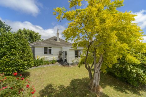 Photo of property in 24 Manchester Street, Takaro, Palmerston North, 4412