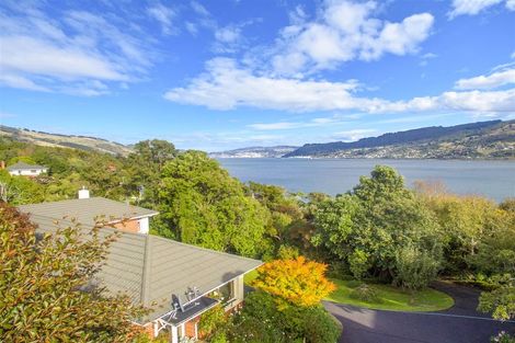 Photo of property in 7 Marion Street, Macandrew Bay, Dunedin, 9014
