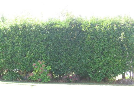 Photo of property in 47 Gulf View Road, Murrays Bay, Auckland, 0630