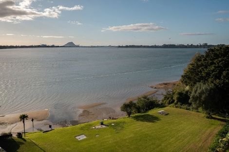 Photo of property in 8b Anchorage Grove, Maungatapu, Tauranga, 3112