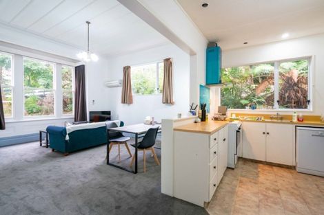 Photo of property in 41a Garfield Avenue, Roslyn, Dunedin, 9010