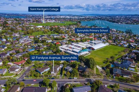 Photo of property in 12 Fordyce Avenue, Sunnyhills, Auckland, 2010