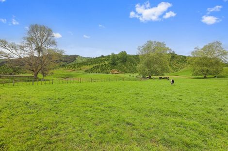 Photo of property in 987 Ongarue Back Road, Ongarue, Taumarunui, 3996