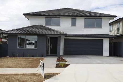 Photo of property in 52 Timmer Road, Flat Bush, Auckland, 2019