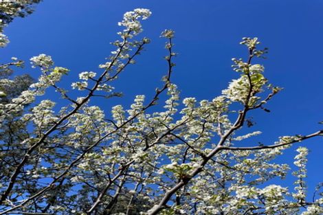 Photo of property in 65 Butterfield Road, Hawea Flat, 9382