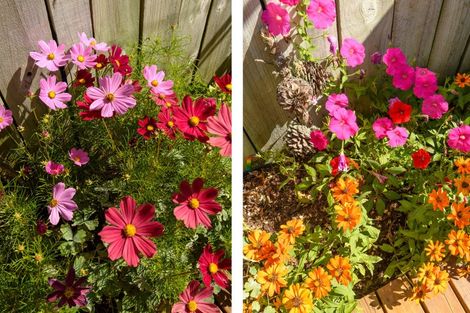 Photo of property in 11 Kamahi Crescent, Papamoa Beach, Papamoa, 3118