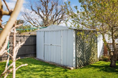 Photo of property in 141 Oxford Street, Ashhurst, 4810