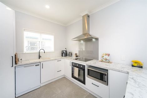 Photo of property in 29 Limbrick Street, Terrace End, Palmerston North, 4410
