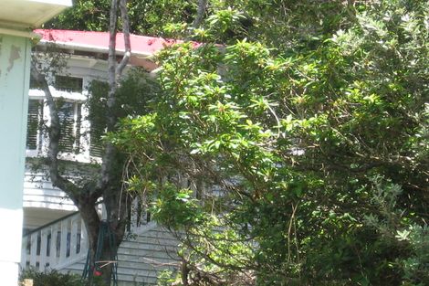 Photo of property in 64 Raroa Road, Kelburn, Wellington, 6012