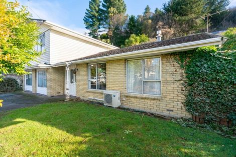 Photo of property in 17a Buccleugh Street, North East Valley, Dunedin, 9010
