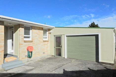 Photo of property in 20 Reservoir Street, Putaruru, 3411