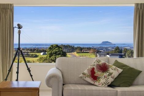 Photo of property in 354a Whakamarama Road, Whakamarama, Tauranga, 3179