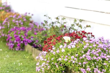 Photo of property in 1/16 Church Street, Devonport, Auckland, 0624