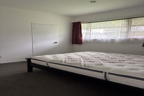 Photo of property in 166 Fred Taylor Drive, Whenuapai, Auckland, 0814