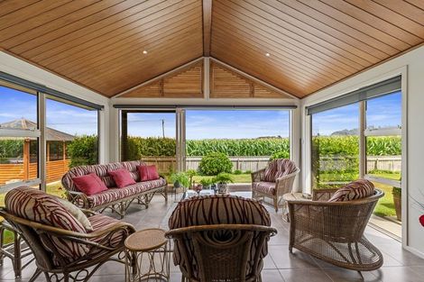 Photo of property in 244 Grandview Road, Western Heights, Hamilton, 3200