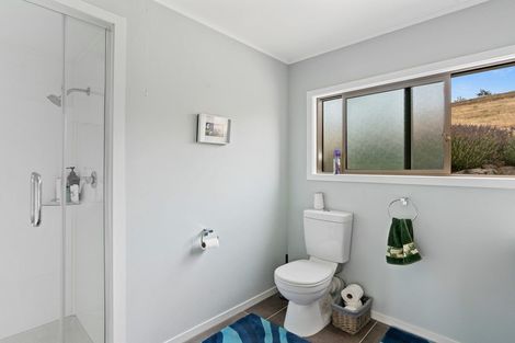 Photo of property in 192 Heaney Road, Cromwell, 9384