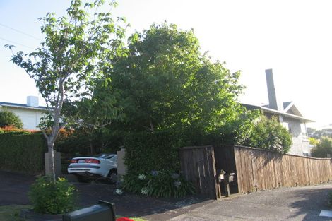 Photo of property in 20 Haast Street, Remuera, Auckland, 1050