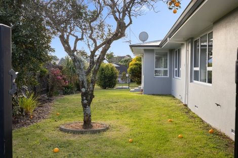 Photo of property in 20 Clivedene Street, Matua, Tauranga, 3110