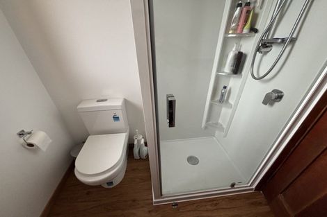 Photo of property in 68 Limbrick Street, Terrace End, Palmerston North, 4410