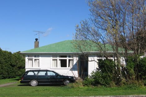 Photo of property in 20 Harrison Street West, Featherston, 5710