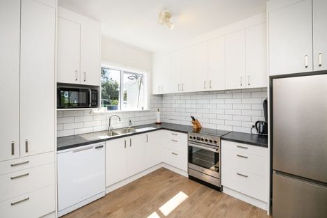 Photo of property in 43 Ihle Street, Terrace End, Palmerston North, 4410