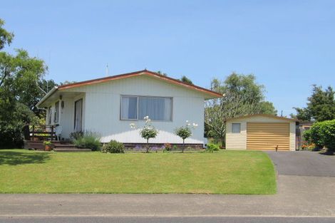 Photo of property in 9 Glendon Place, Otorohanga, 3900