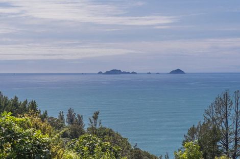 Photo of property in 131 Pumpkin Hill Road, Pumpkin Hill, Whitianga, 3591