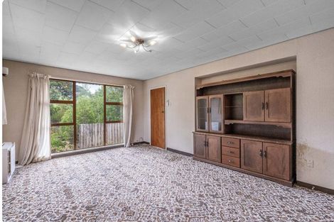 Photo of property in 3 Mcvicar Street, Tuatapere, 9620