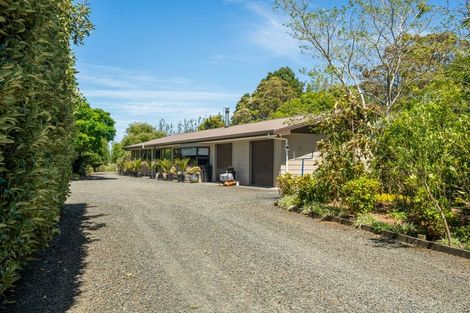 Photo of property in 105 Pairatahi Road, Kaingaroa, Kaitaia, 0483
