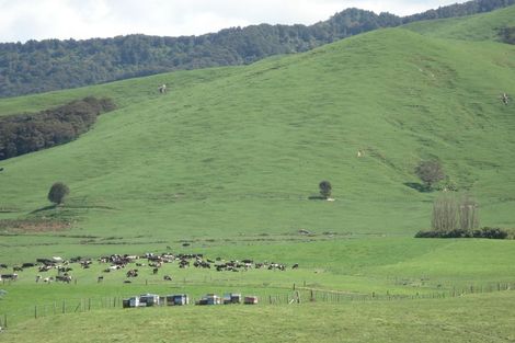 Photo of property in 434 Rutherfurd Road, Orini, Taupiri, 3792