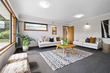 Photo of property in 55 Hansens Line, Newbury, Palmerston North, 4475