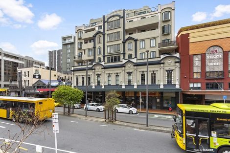 Photo of property in Courtenay Apartments, 311/120 Courtenay Place, Te Aro, Wellington, 6011