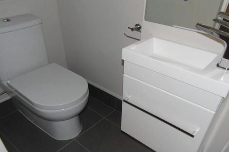 Photo of property in 9 Dovedale Place, Parnell, Auckland, 1010