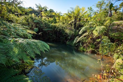 Photo of property in 166b Heard Road, Waihi, 3681