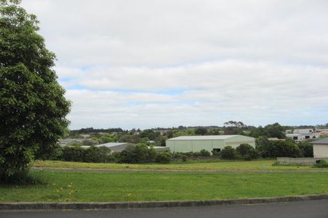Photo of property in 21 Totara Avenue, Pukekohe, 2120