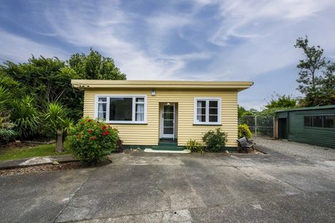 Photo of property in 19 Rutland Street, Levin, 5510