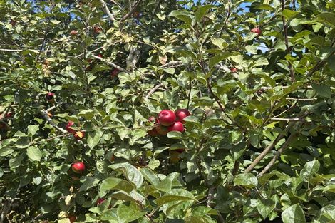 Photo of property in 287 Taurangaruru Road, Karioitahi, Waiuku, 2683