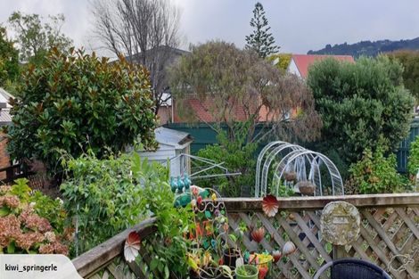 Photo of property in 145 Kings Crescent, Hutt Central, Lower Hutt, 5010