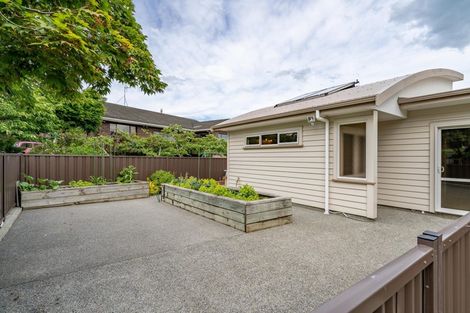 Photo of property in 50 Manuka Street, Lansdowne, Masterton, 5810
