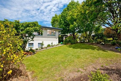 Photo of property in 1 Hume Drive, Hillcrest, Auckland, 0627