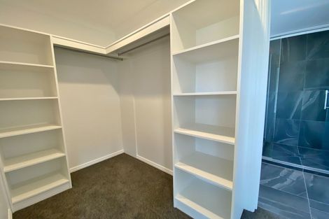 Photo of property in 41 Mcquillan Avenue, Woodend, 7610