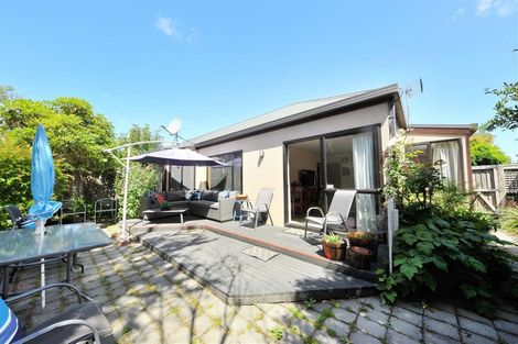 Photo of property in 115b Packe Street, Edgeware, Christchurch, 8013