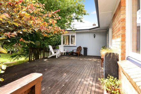 Photo of property in 14 Edinburgh Road, Hillcrest, Hamilton, 3216