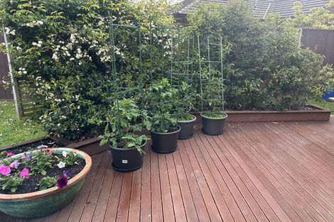 Photo of property in 24 Cleveland Heights, Kelvin Grove, Palmerston North, 4414