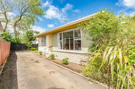 Photo of property in 5b Rawhiti Place, Saint Johns Hill, Whanganui, 4501