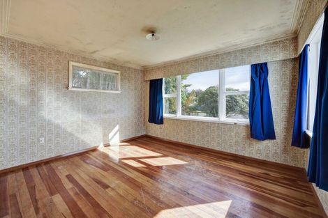 Photo of property in 25 Antonio Street, Stratford, 4332